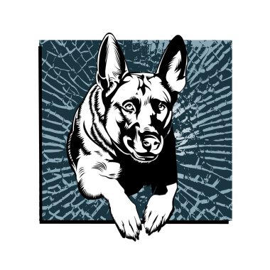 german shepherd breaking glass